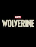 Marvel’s Wolverine Dev Build Torrent Download PC Game
